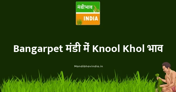 Knool Khol भाव